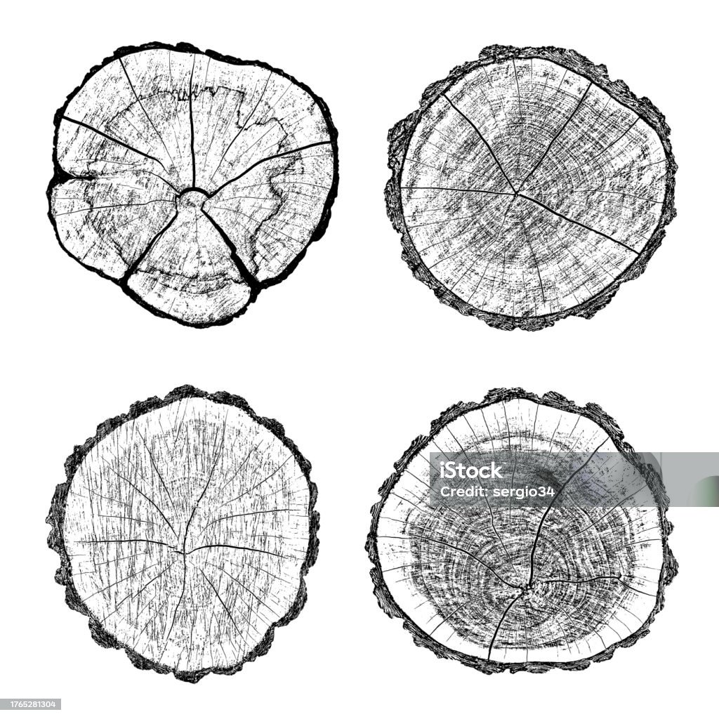 Tree Rings Cut Art Set Of Distressed Wood Texture Stock Illustration - Download Image Now ...