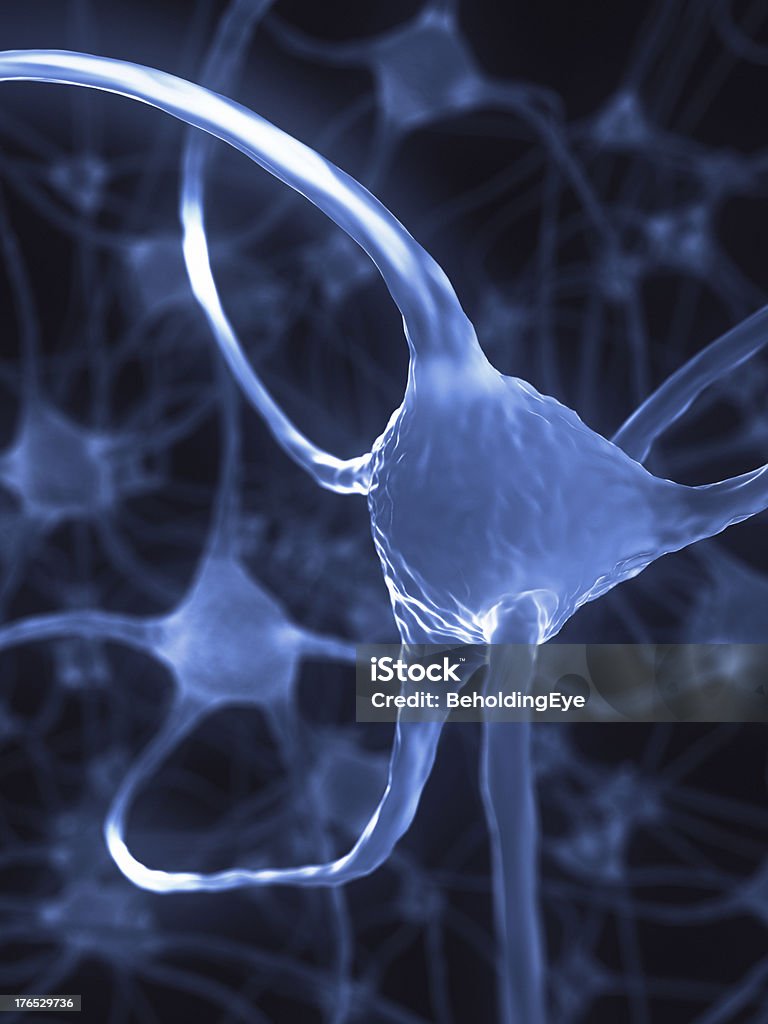 Nervenzelle XL - Lizenzfrei Synapse Stock-Foto