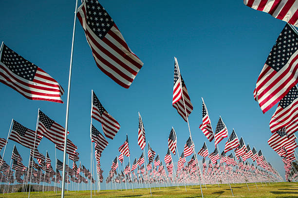 istock Field of American Flags 176529938