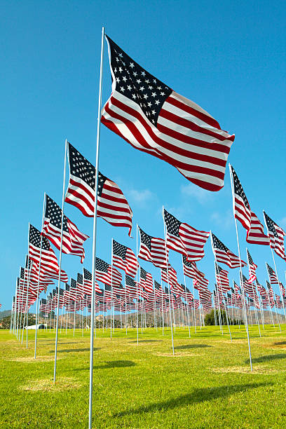 istock Field of American Flags 176529942