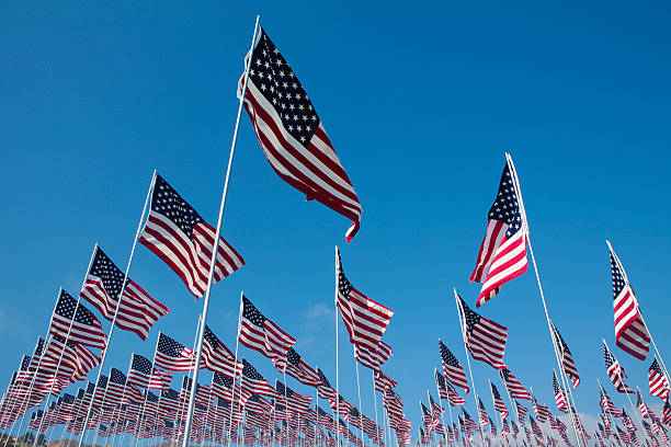 istock Field of American Flags 176529946