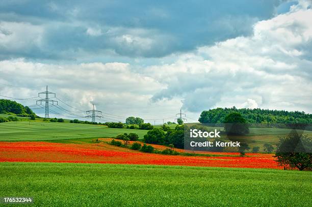 Mohn Feldder Landwirtschaftlandschaft Stockfoto und mehr Bilder von Blume - Blume, Blumenbeet, Breit