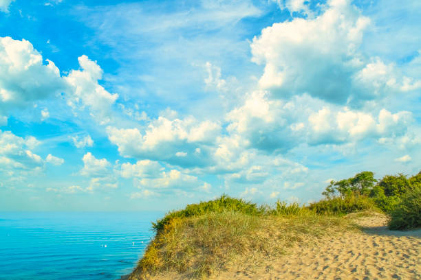 istock Sandy slope with grass on the seashore. Summer background with empty space for text. 1765328501