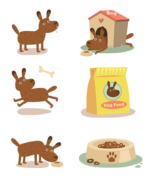 Cute dog feeding Cute dog feeding. Editable vector Eps8 file. animals feeding stock illustrations