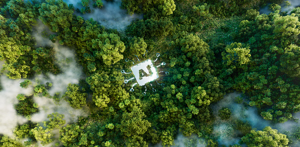 Aerial view of a forest with mist, centering on a glowing 'AI' platform, symbolizing the ecological implications of advancing artificial intelligence. 3d rendering.