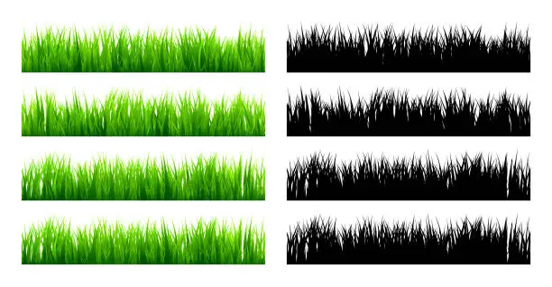 Vector illustration of Meadow silhouettes with grass, plants on plain. Green and black panoramic summer lawn landscape with herbs, various weeds. Herbal border, frame element. Horizontal banners. Vector illustration