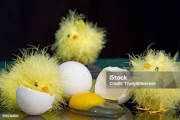 Drei Küken Und Gebrochen Ei Stockfoto und mehr Bilder von Abnehmen - Abnehmen, Agrarbetrieb, Bildhintergrund