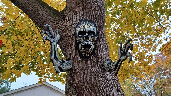 Outside view at the homes in Toronto with Halloween decorations