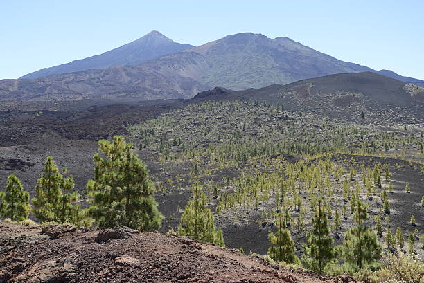 istock Pico del Teide and Viejo, Tenerife 176537041