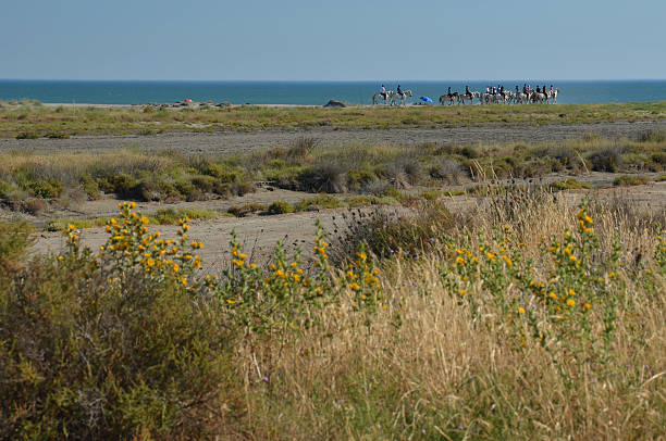 istock Horse-back riders on a beach in Camargue 176537458