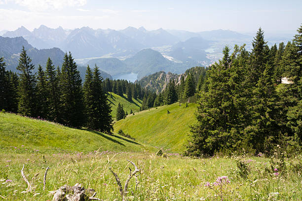 mountain landscape stock photo