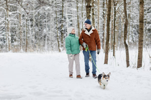 istock Senior Couple Walking Dog 1765393748