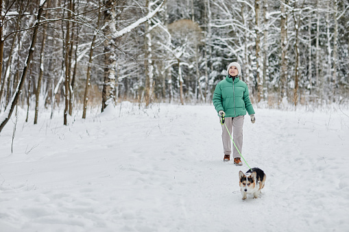 Senior woman walking in winter forest with her small dog
