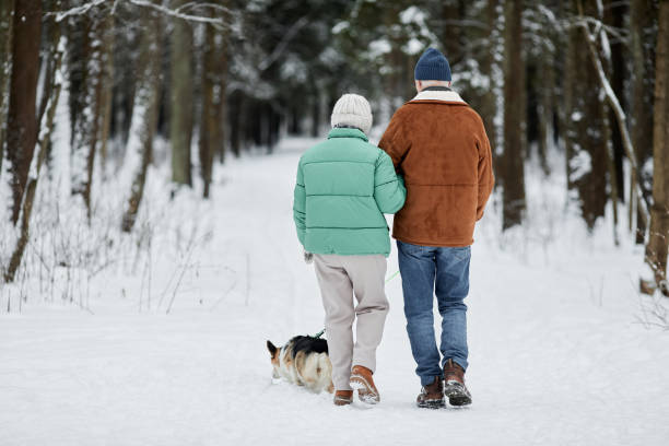 istock Couple Walking Dog in Park 1765393779