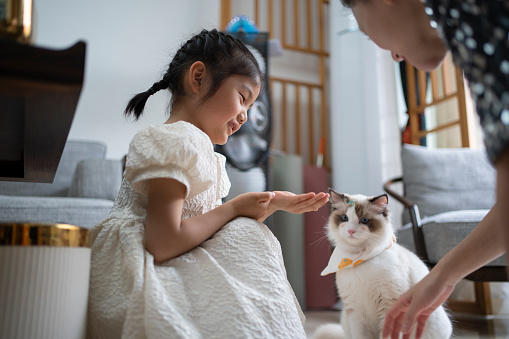 Mother and daughter take care of their pet cat at home