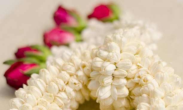 istock Mother's Day,Garland Jasmine 176540289