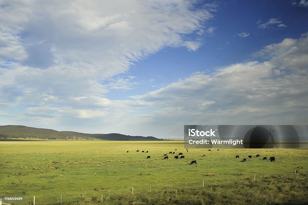 Tipico paesaggio rurale in Australia, con belle nuvole - Foto stock royalty-free di Agricoltura