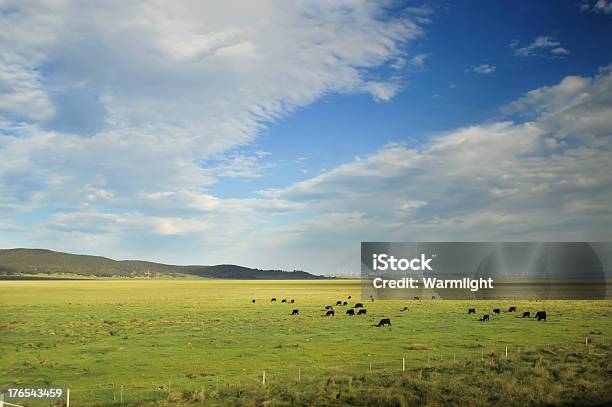 Tipico Paesaggio Rurale In Australia Con Belle Nuvole - Fotografie stock e altre immagini di Agricoltura