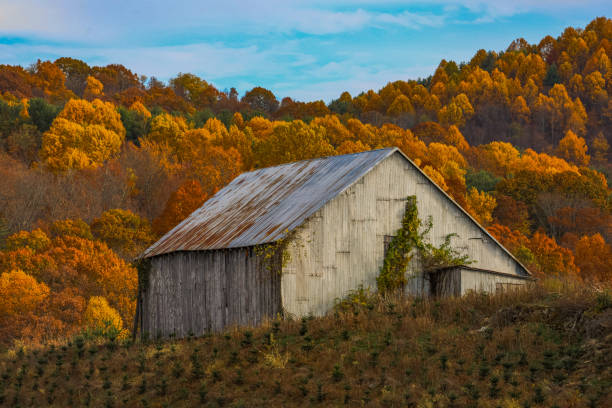 istock Fall views in the Appalachian Mountains 1765456602