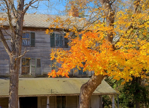 Orange maple tree autumn foliage in front of decaying Walloomsac Inn.