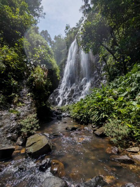 istock Waterfalls in the mountains of Panama 1765479344