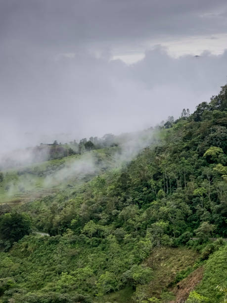 istock Waterfalls in the mountains of Panama 1765485957