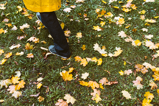 Teenage legs in sneakers and jeans standing on ground with autumn leaves, top view, unusual perspective