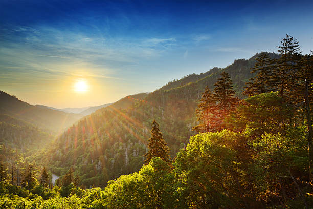 Sun setting on New Found Gap Great Smoky Mountains In the Great Smoky Mountains' Newfound Gap, the sun sets in the distance behind a series of large, gently sloping hills.  Green-orange rays of sunlight streak downwards, showering leafy foreground trees with illumination and leaving the sky above a darkening blue. great smoky mountains photos stock pictures, royalty-free photos & images