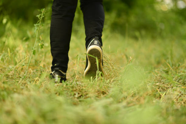 istock young lady walking in the forest 1765557119