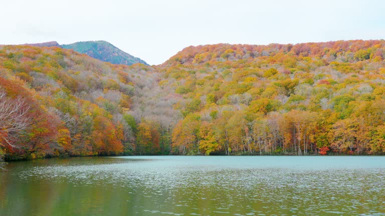 4k Time lapse of pond in autumn season, Aomori, Japan