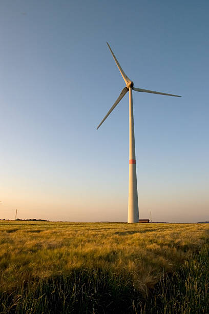 Windmill on sunset stock photo