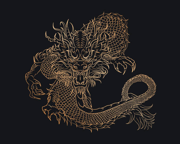 umriss handgezeichneter goldener asiatischer drache - chinese new year 2024 stock-grafiken, -clipart, -cartoons und -symbole