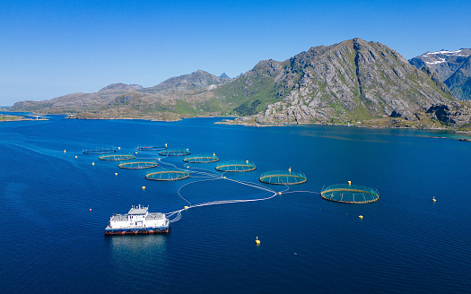 Salmon aquaculture basins in idyllic norwegian fjord landscape