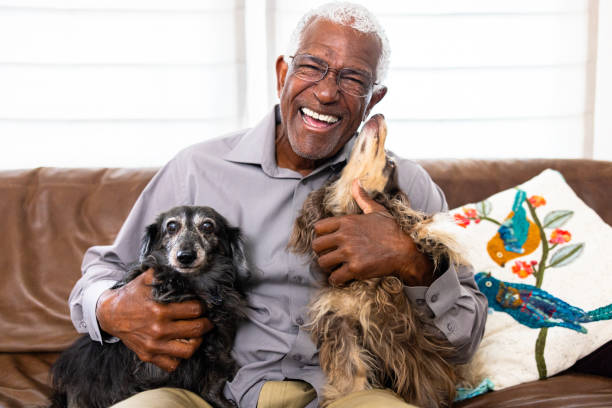 Senior black man playing with his dogs at home stock photo