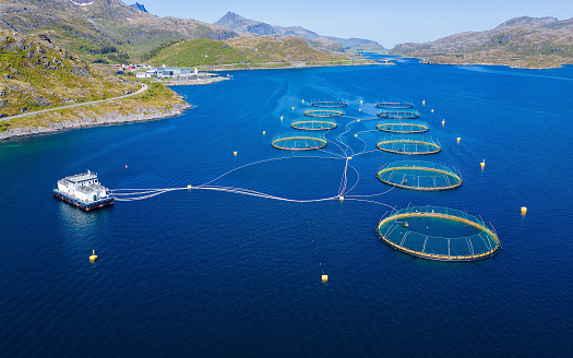 Industrial aquaculture salmon farm in Norway seen from the air