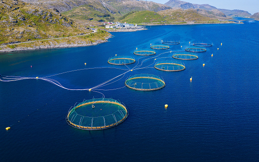 Fish basins filled with salmons as part of an aquaculture farm in a norwegian fjord