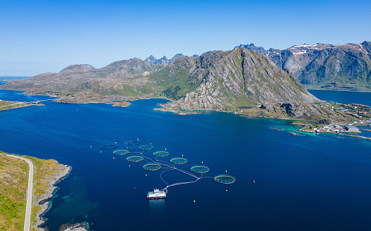 Aerial view from Lofoten islands with fjords, mountains and a salmon aquaculture