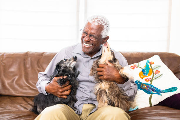 istock Senior black man playing with his dogs at home 1765602109