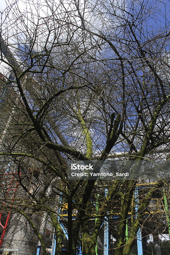 O twigs seco - Foto de stock de Antigo royalty-free