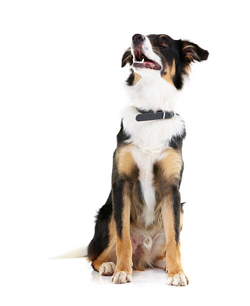 istock He's looking at your product 176560966
