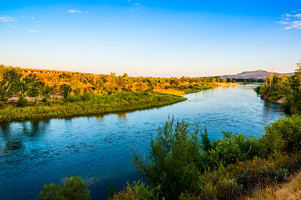 Boise River, Idaho Beautiful Boise River in Boise, Idaho on a fine summer morning with deep blue sky boise river stock pictures, royalty-free photos & images