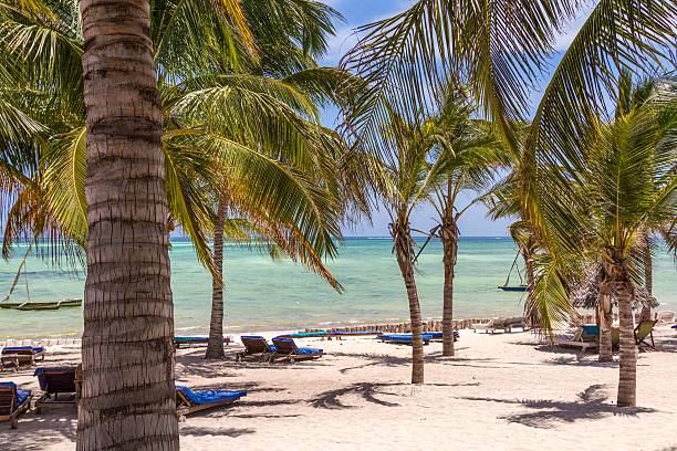 istock Chairs and green trees on a white sand beach 176561029