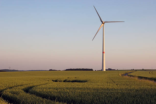 Windmill on sunset stock photo