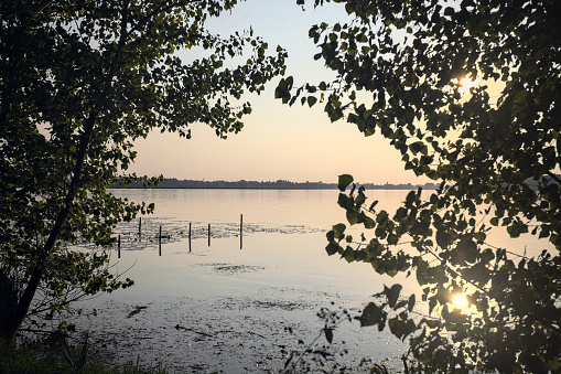Lake  at sunset seen from the shore and framed by trees and plants