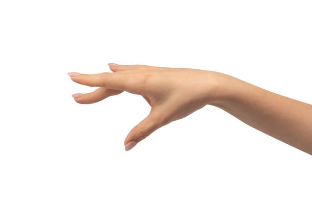 istock Woman hands  isolated on a white background. 1765612745