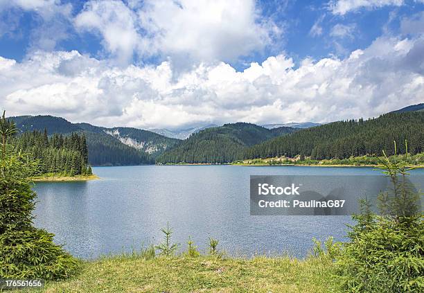 Photo libre de droit de Paysage De Lac Balea Comté De Sibiu Roumanie banque d'images et plus d'images libres de droit de Bleu - Bleu, Chaîne des Carpates, Forêt