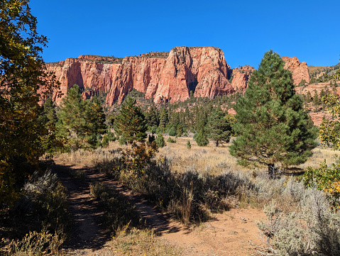 Dry meadows and red rock hoodoos along Kolob Terrace Road near Hop Valley Trailhead in Zion National Park Utah