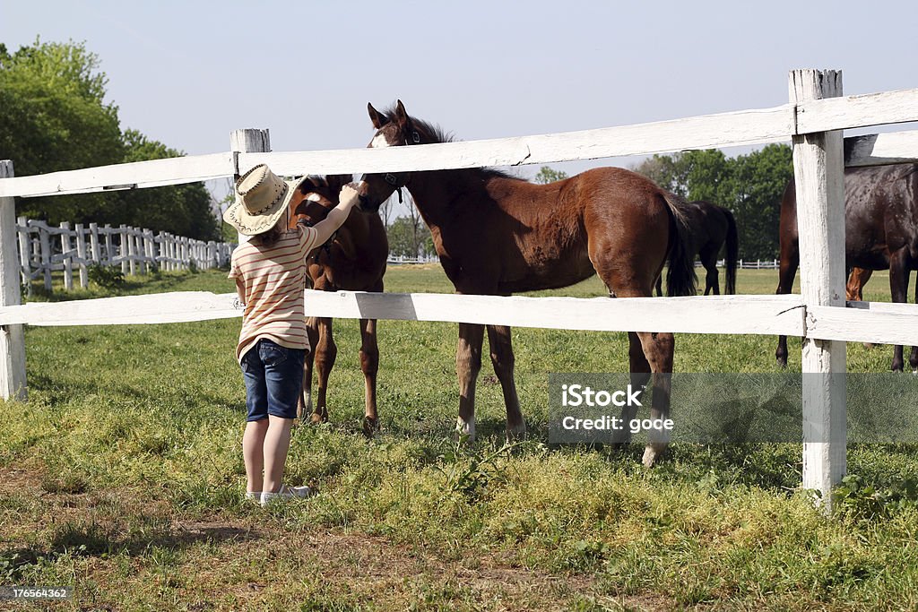 child with foals on farm Embracing Stock Photo