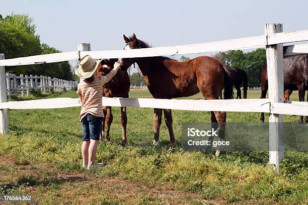 Child With Foals On Farm Stock Photo - Download Image Now - Embracing, Girls, Livestock