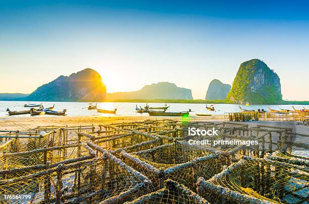 Silhueta Bonita Ao Pôr Do Sol No Mar Tropical - Fotografias de stock e mais imagens de Admirar a Vista - Admirar a Vista, Agricultura, Ajardinado